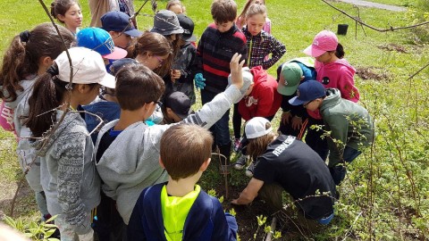 Un nouveau programme d’écoéducation dans le Bas-du-Fleuve